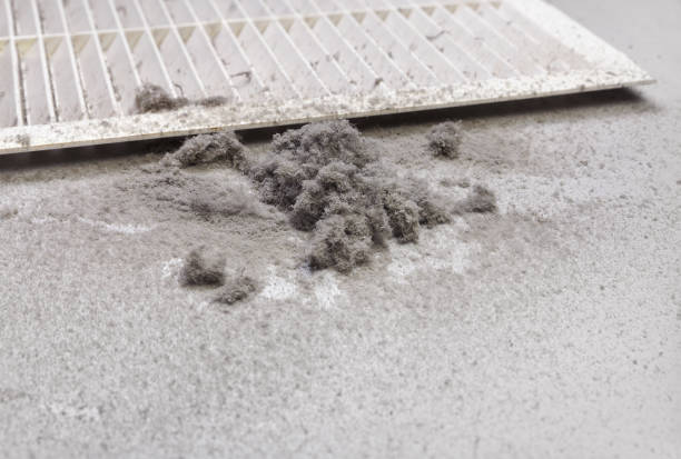 Best Air Duct Mold Removal  in Lisbon, IA